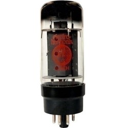 TRIGGER SHINER STSD TOM